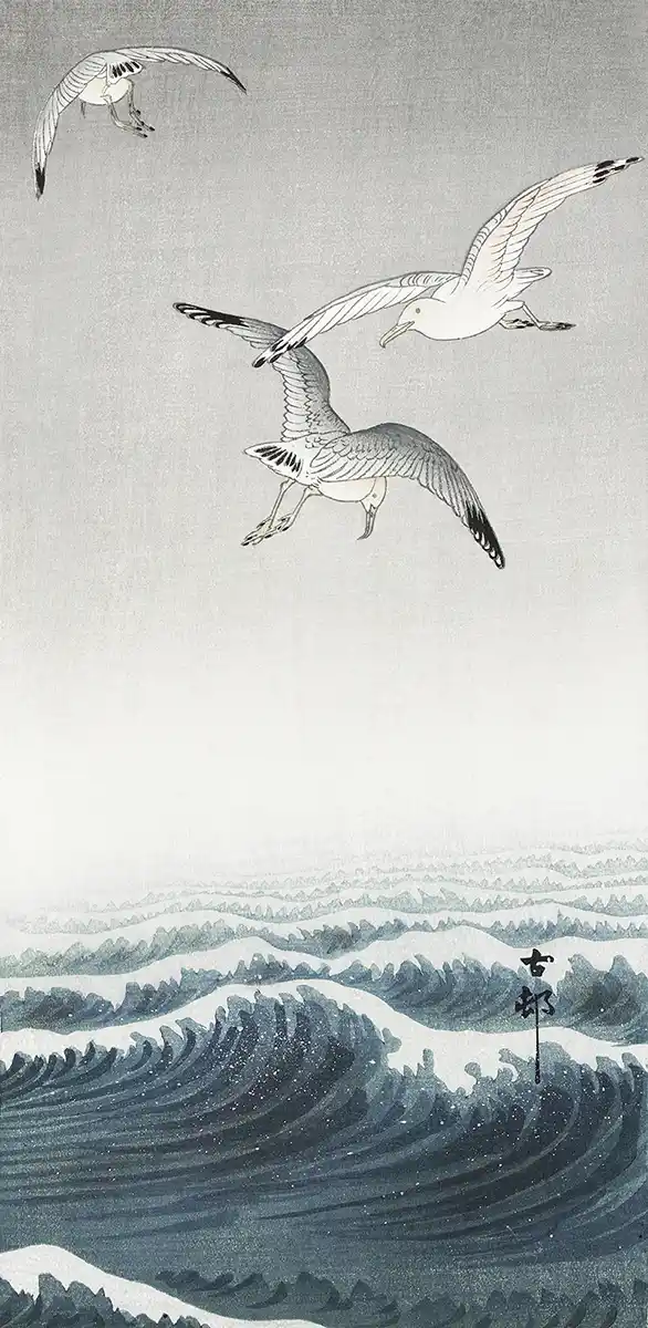 Seagulls over the Waves